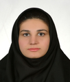 مترجم فیروزه سلطانی مترجم فیروزه سلطانی