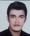 مترجم پیمان احمدی مترجم پیمان احمدی
